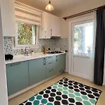 2+1 House In Center With Sea View And Big Private Garden * ボドルム